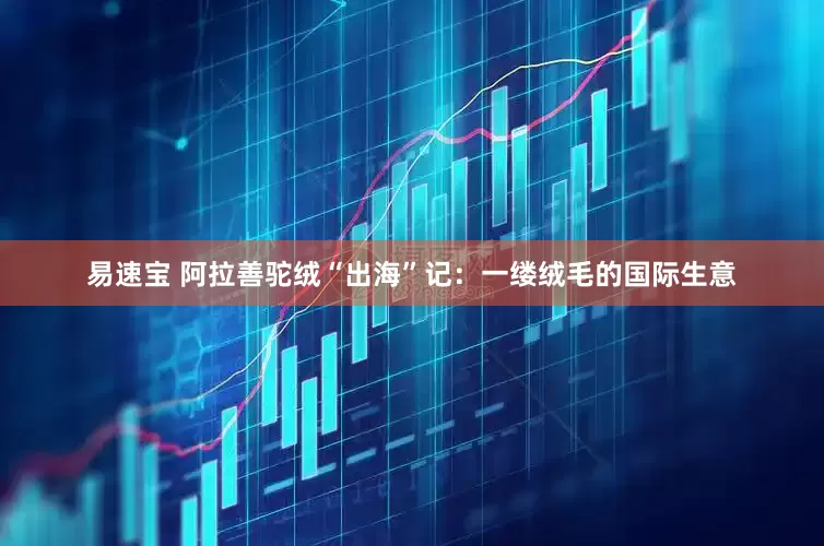 易速宝 阿拉善驼绒“出海”记：一缕绒毛的国际生意